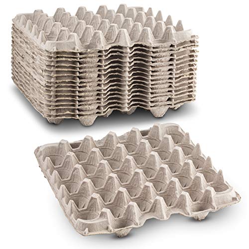 Hueveras biodegradables de fibra de celulosa para almacenar hasta 30 huevos grandes o pequeños/Hace un gran hogar para la colonia de cucarachas por MT Products (15 piezas)