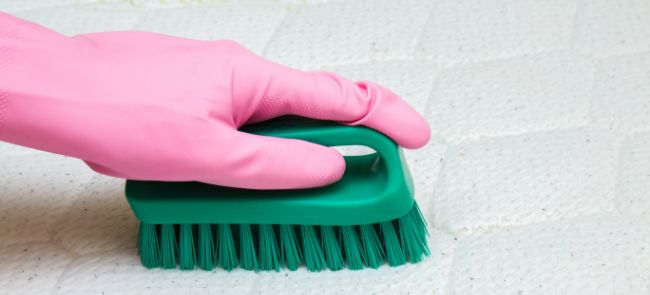 Un limpiador profesional utiliza un cepillo para limpiar un colchón