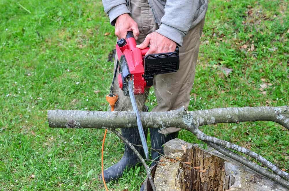 Motosierra eléctrica utilizada para cortar un árbol caído.
