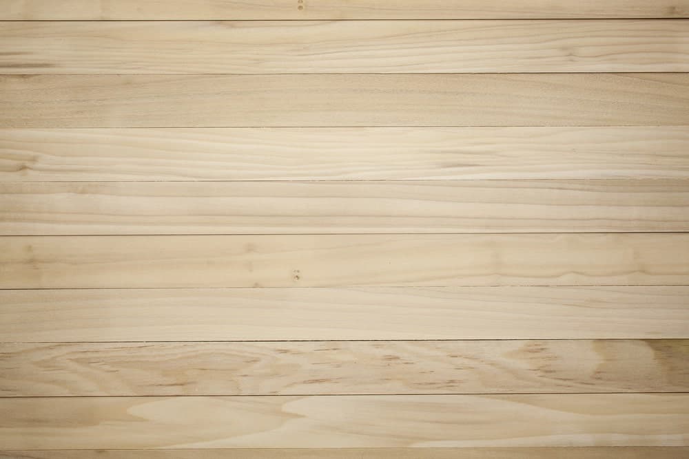 Textura de madera de álamo 