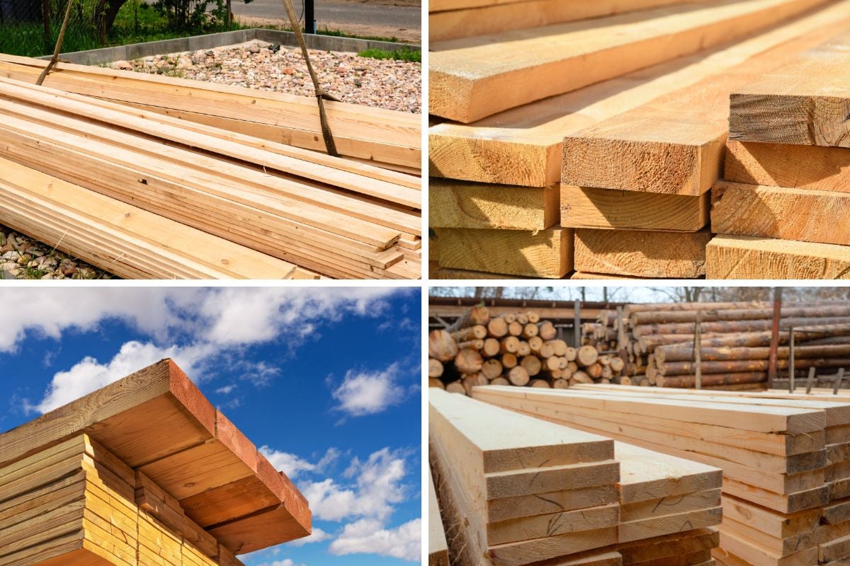 18 Tipos De Madera Junio 2026 18 Tipos De Madera Junio 2026