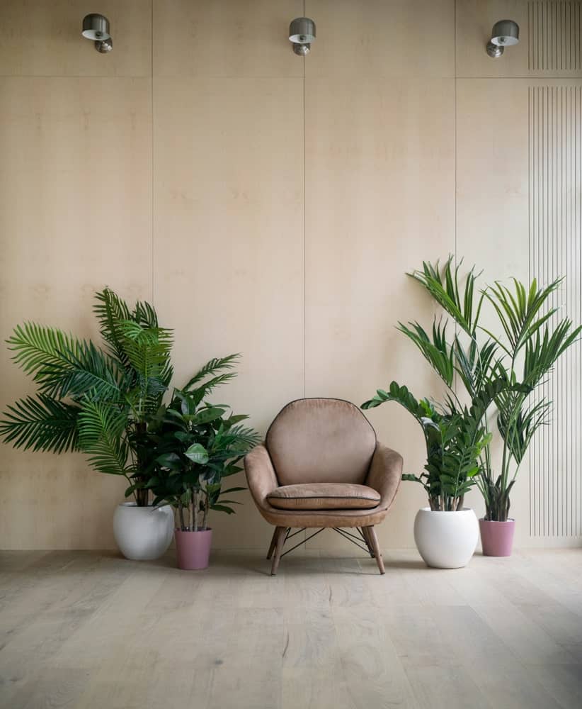 Elegante salón con paredes de madera contrachapada, lámparas de pared y un sillón flanqueado entre plantas de interior.