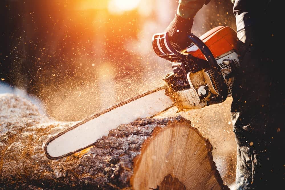 Un leñador utiliza una motosierra para cortar el tronco.