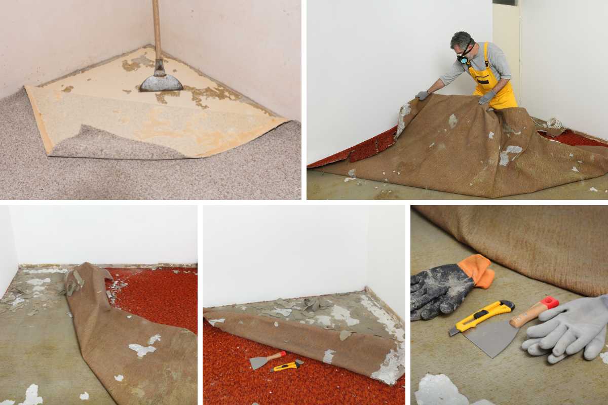 Collage fotográfico de diferentes tipos de herramientas para quitar alfombras.