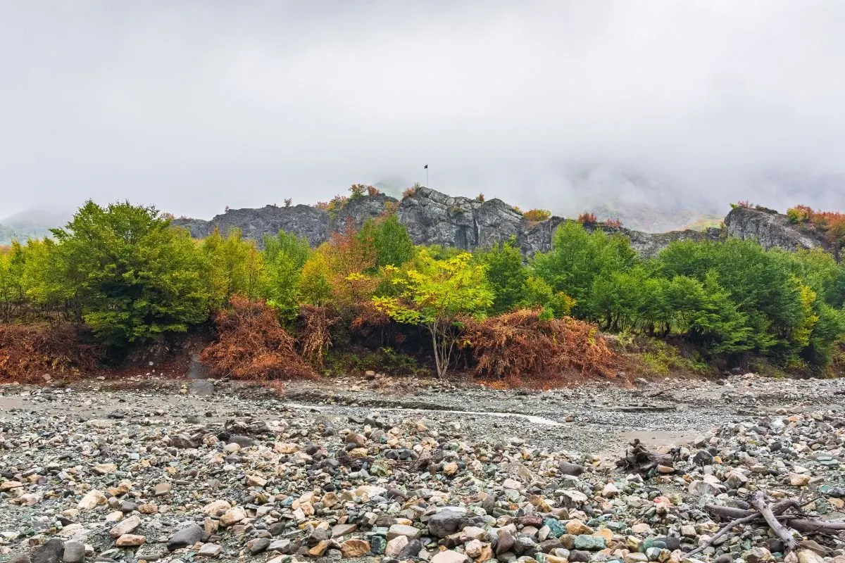 Un río rocoso con grava y árboles.