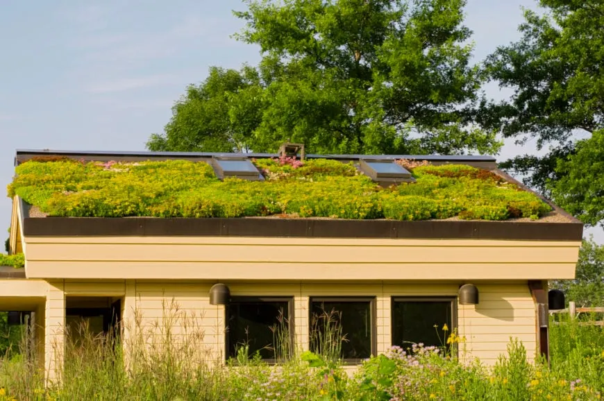 Ejemplo de casa con jardín y tejado de césped para un diseño verde.