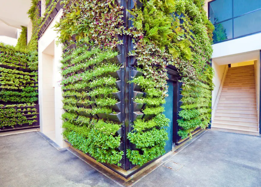 Increíbles paredes interiores con jardines de hierbas verticales que podrían incorporarse a cualquier hogar para crear un interior más natural.