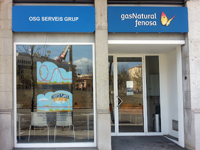 OSG Serveis Grup (Tienda Girona) - Naturgy (Oficina de atención al Cliente) - Opiniones