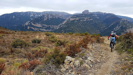 Mejores fontaneros en Alquerías del Niño Perdido